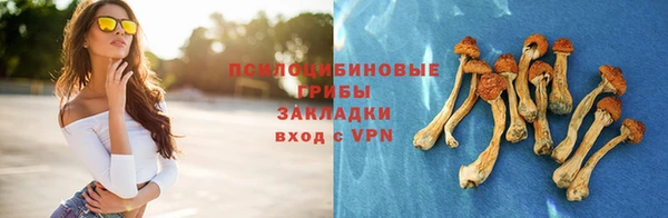 скорость Абаза