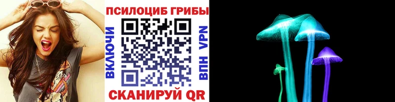 хочу   Северская  Галлюциногенные грибы MAGIC MUSHROOMS 